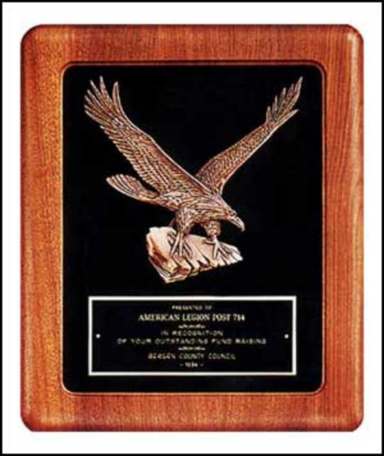 Eagle on Velour Plaque (14"x17")